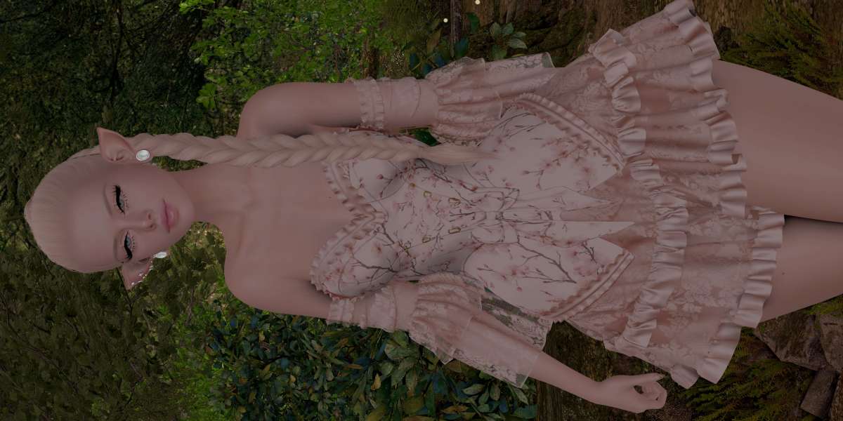 ♥ Pic 1871 ♥